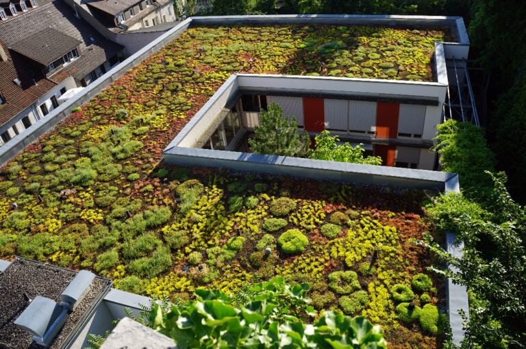 Flachdächer im Urban Gardening: Möglichkeiten und Vorteile